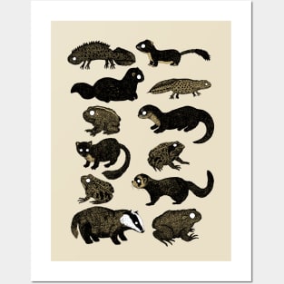 British Wildlife Illustrations Posters and Art